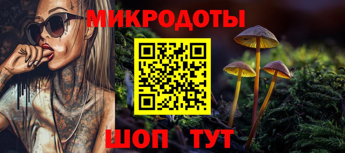 Псилоцибиновые грибы Psilocybe  Вход с VPN  наркотики  Галлюциногенные грибы прущие грибы  Братск 